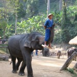 Wild Burma: Nature's Lost Kingdom review